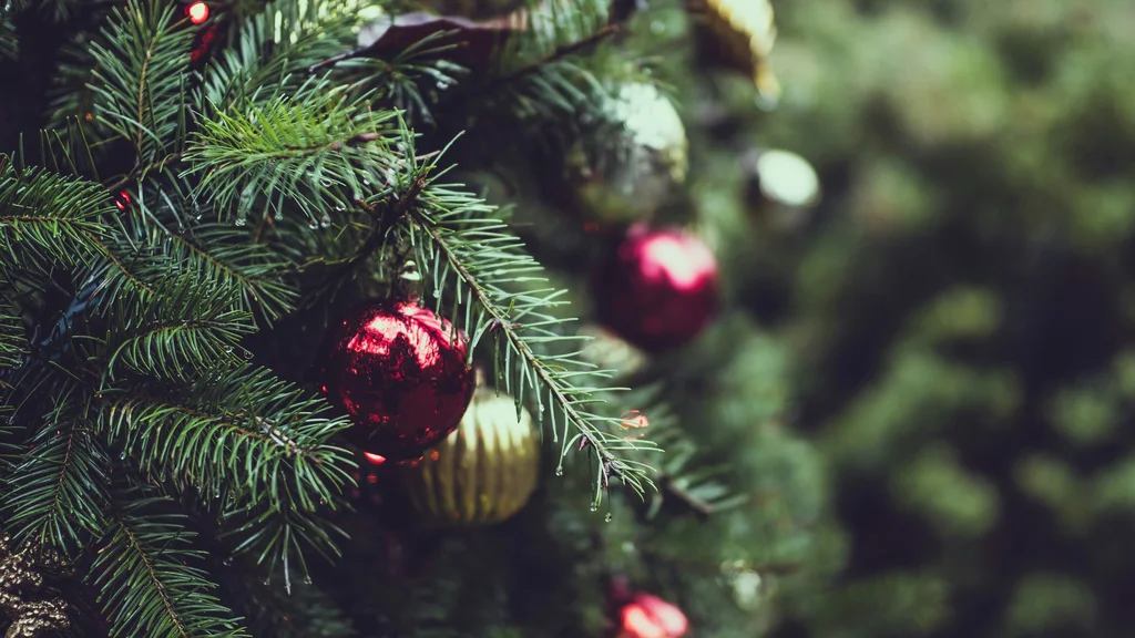 A close up of a Christmas tree with gold, red and silver baubles