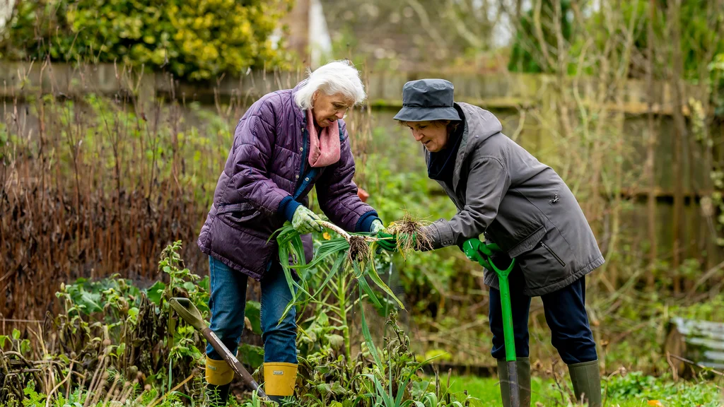 Two older women gardening